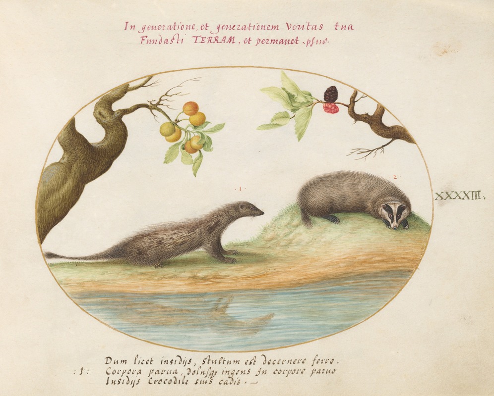 Joris Hoefnagel - Mongoose and Badger with Fruit Trees