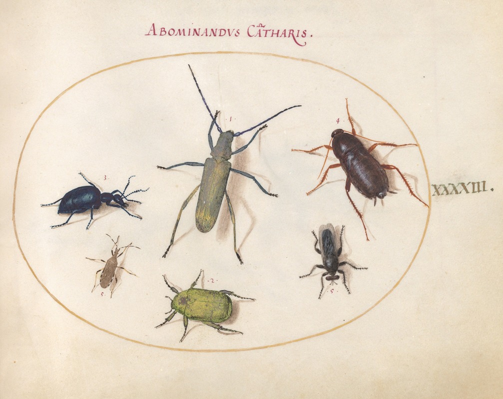 Joris Hoefnagel - Plate 43; Musk Beetle, Oil Beetle, Tansy Beetle, Cockroach, Leaf-Footed Bug, and Other Insects