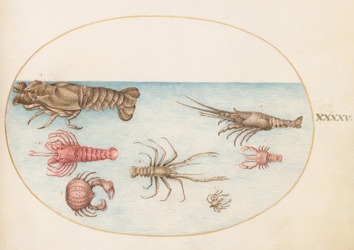 Joris Hoefnagel - Plate 45; Lobster, Squilla Mantis, and Other Crustaceans