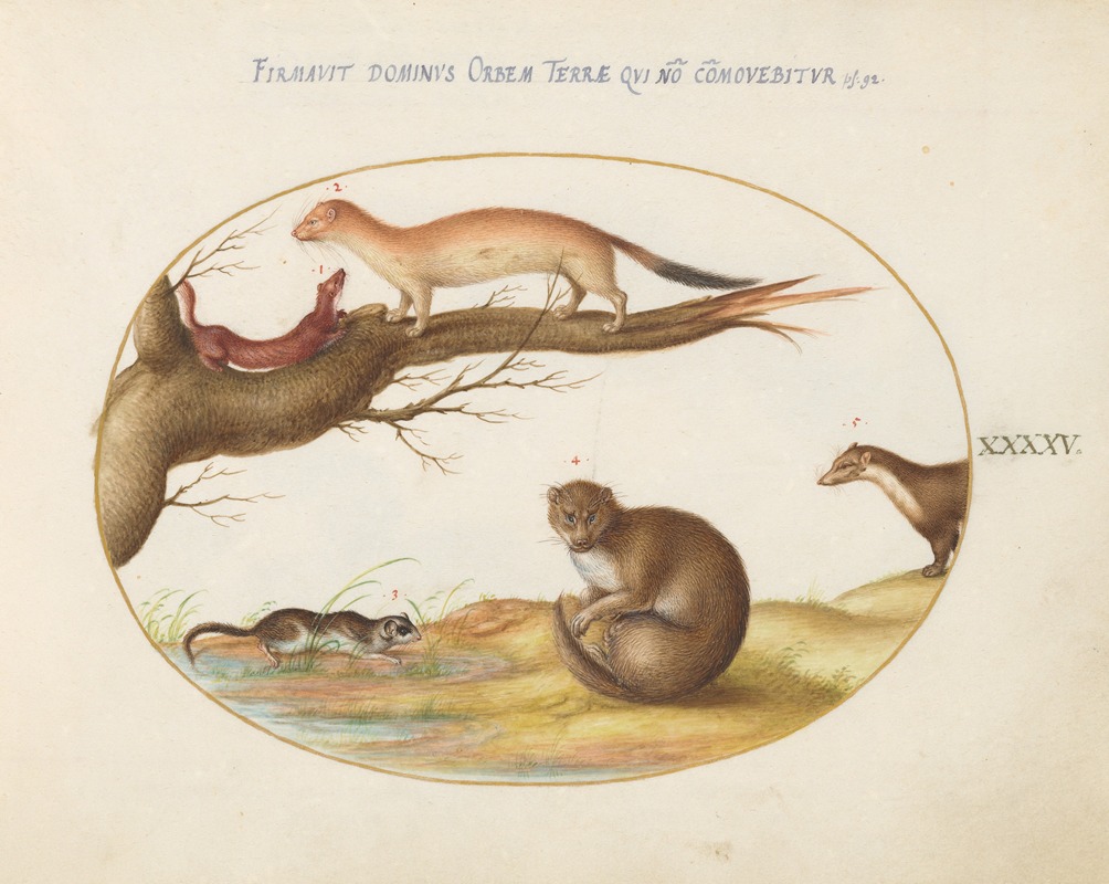 Joris Hoefnagel - Weasels, a Ferret, and a ‘Nut Mouse’