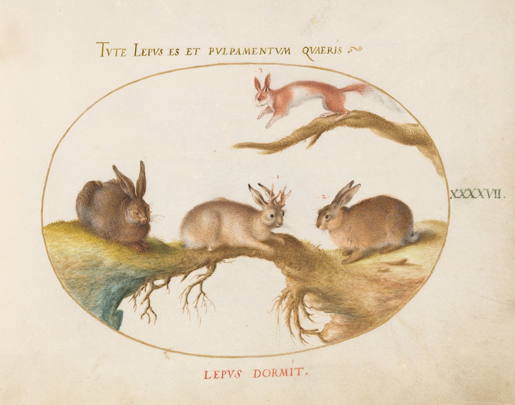 Joris Hoefnagel - A Hare, ‘Jackalope,’ a Rabbit, and a Spotted Squirrel