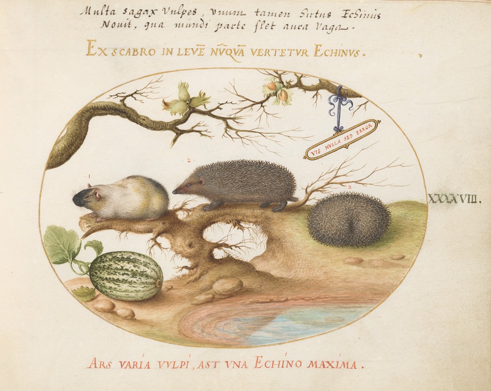 Joris Hoefnagel - Guinea Pig and Hedgehogs with Melon and Cobnuts