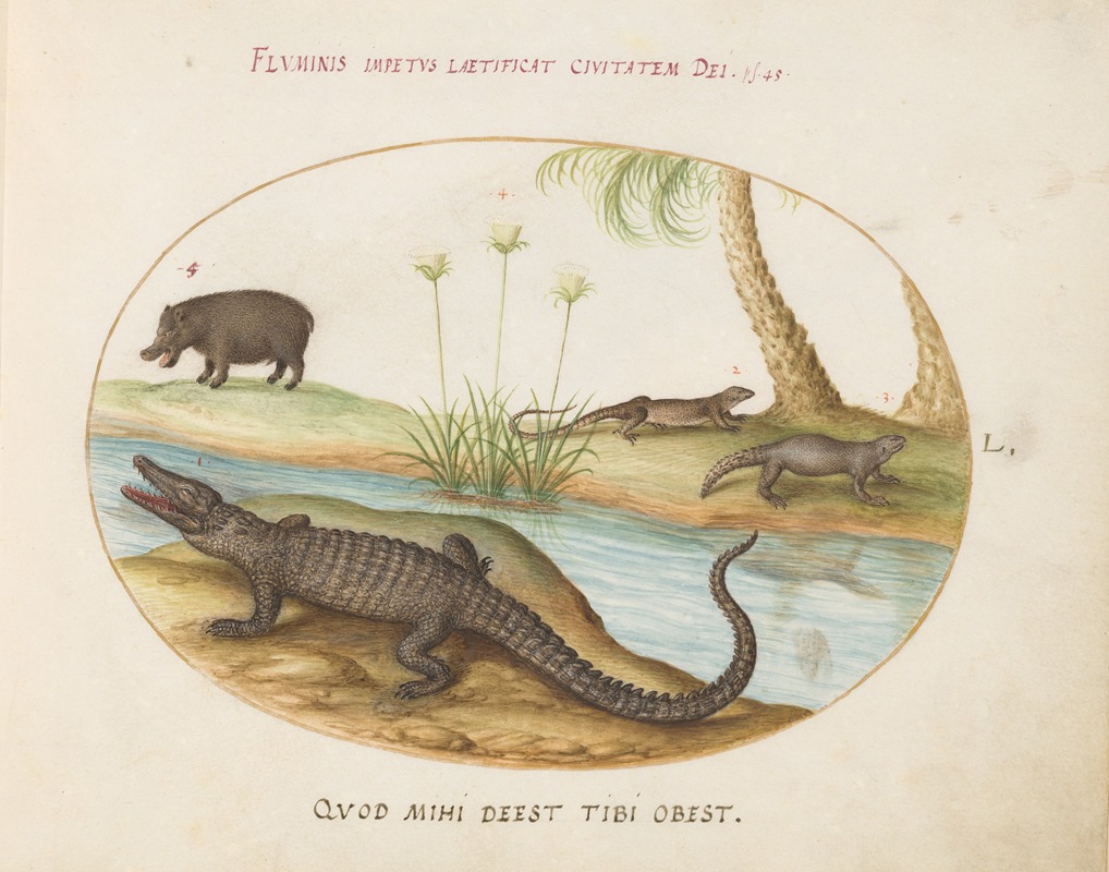 Joris Hoefnagel - A Crocodile, a Hippopotomus, a Land Crocodile or Tegu Lizard, and a Crocodile or Spiny-Tailed Lizard with a Papyrus Plant