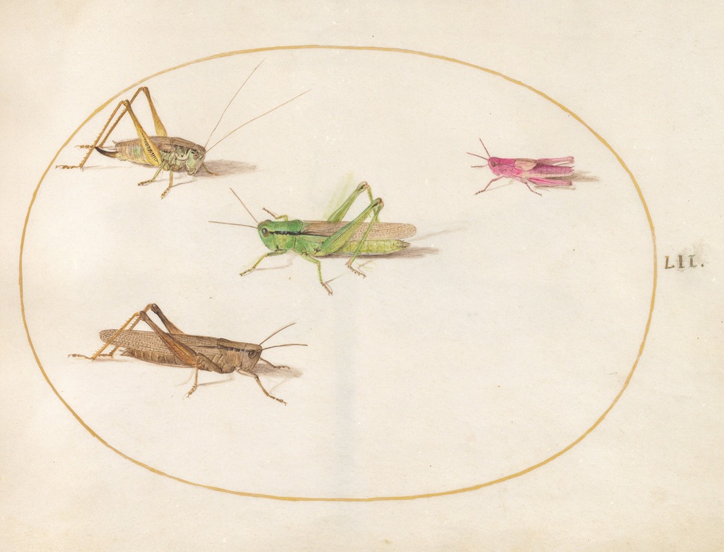 Joris Hoefnagel - Plate 52; Four Grasshoppers