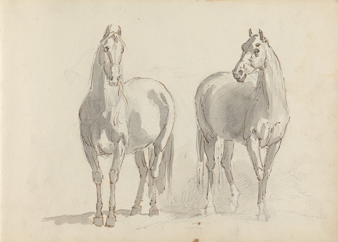 Sawrey Gilpin - Fourty-three Studies of Horses and Riders Pl.15