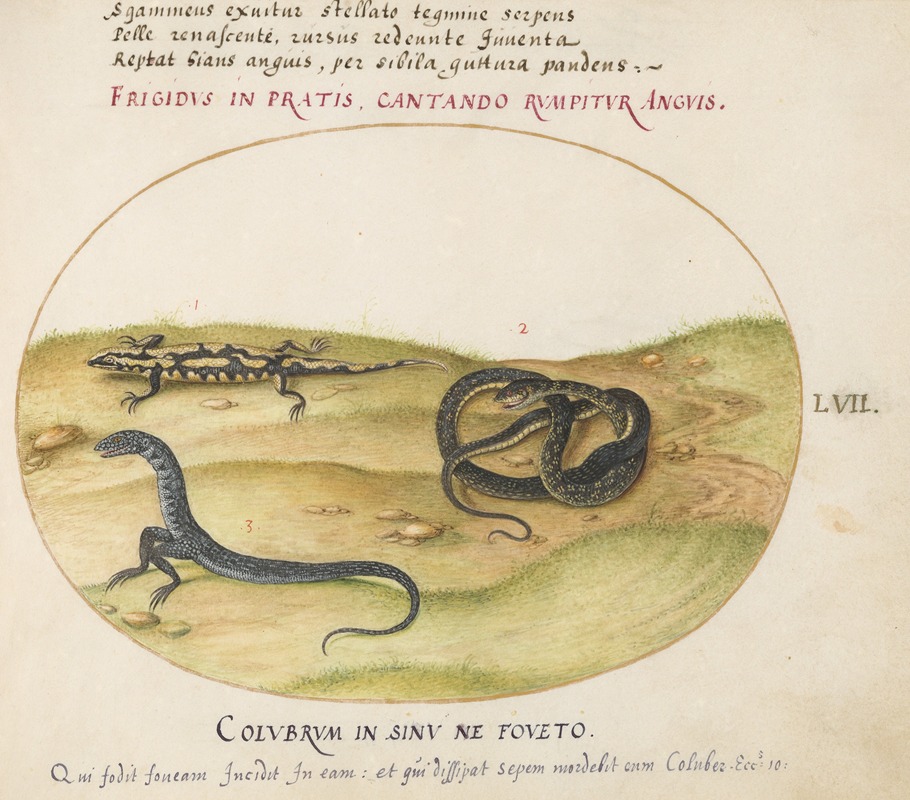 Joris Hoefnagel - A Snake, a Fire Salamander, and a Snakelike Creature with Two Legs