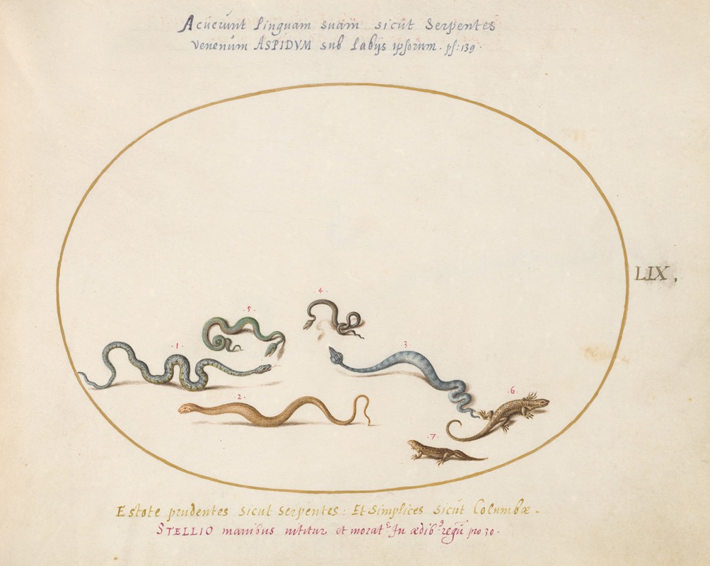 Joris Hoefnagel - Snakes and a Lizard