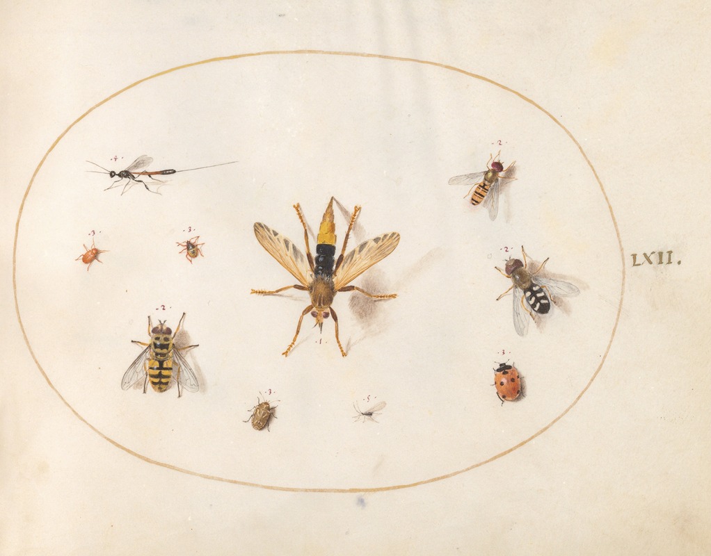 Joris Hoefnagel - Plate 62; Ten Insects