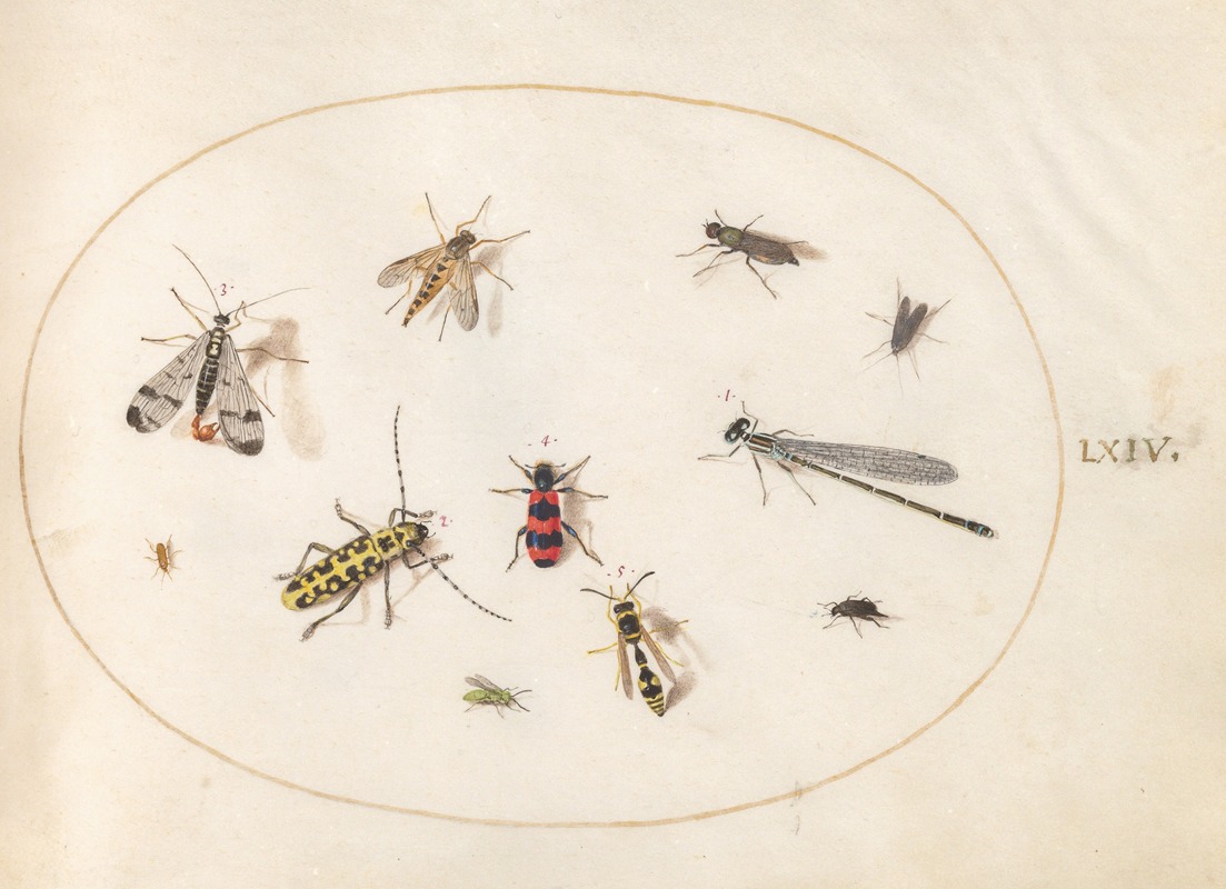 Joris Hoefnagel - Plate 64; Eleven Insects, Including a Dragonfly and Longhorn Beetle