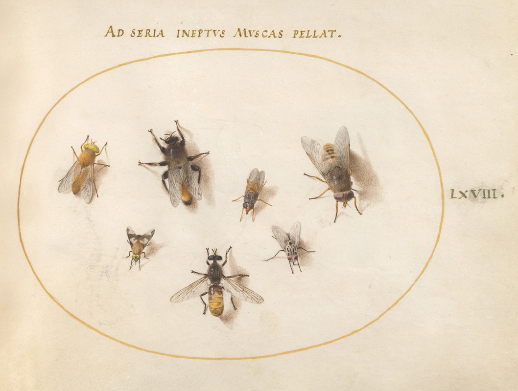 Joris Hoefnagel - Plate 68; Seven Bees and Flies