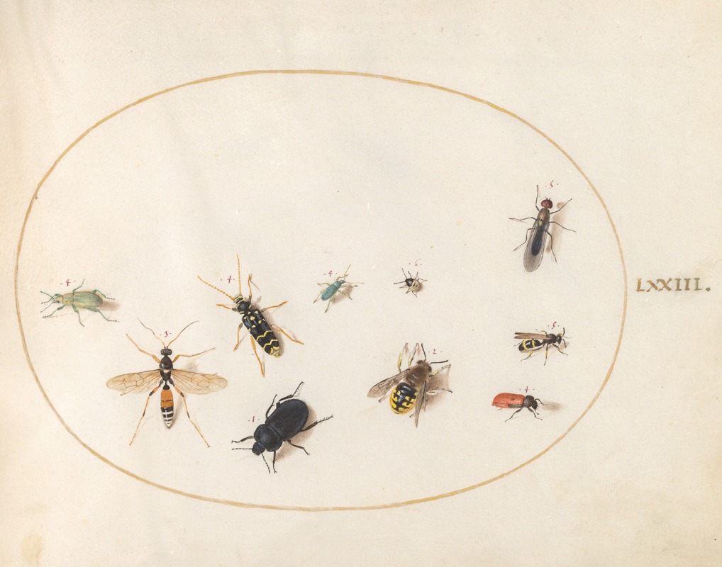 Joris Hoefnagel - Plate 73; Ten Insects