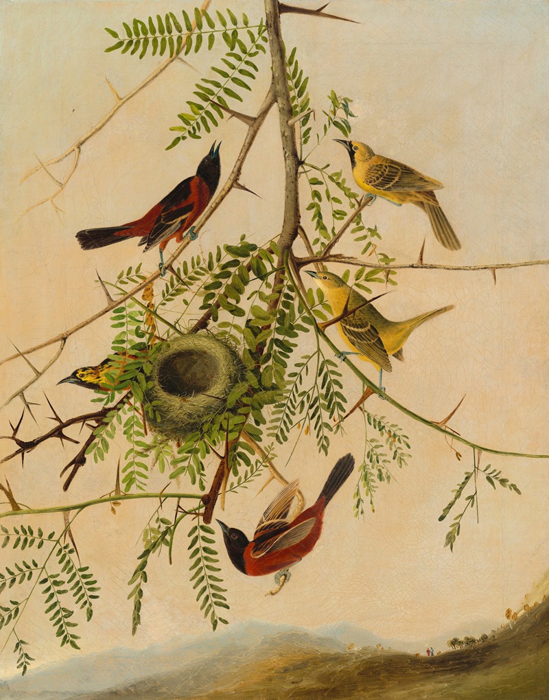 Joseph Bartholomew Kidd - Orchard Oriole