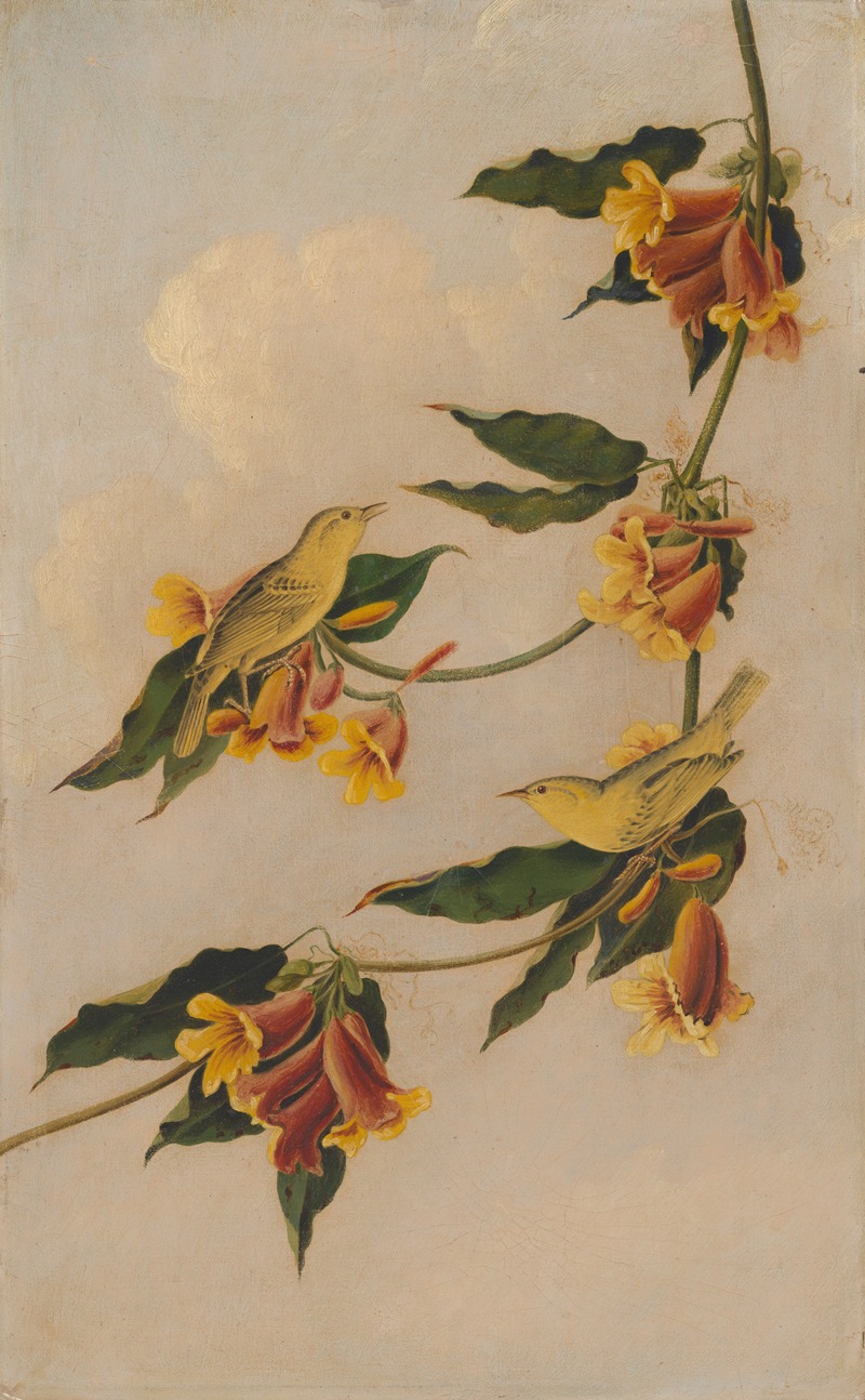 Joseph Bartholomew Kidd - Yellow Warbler