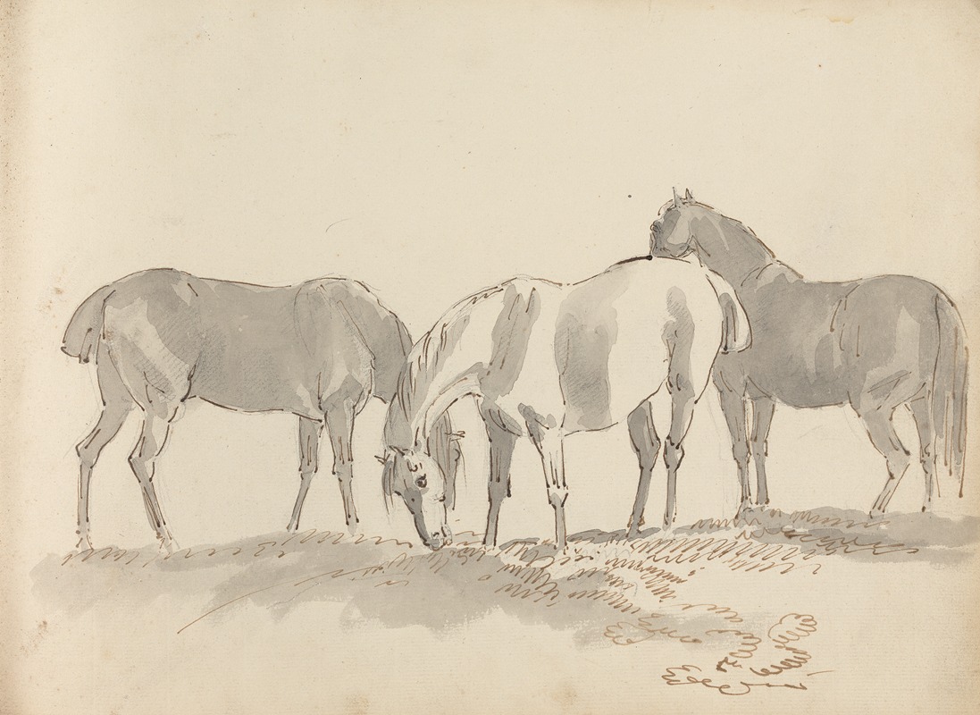 Sawrey Gilpin - Fourty-three Studies of Horses and Riders Pl.23