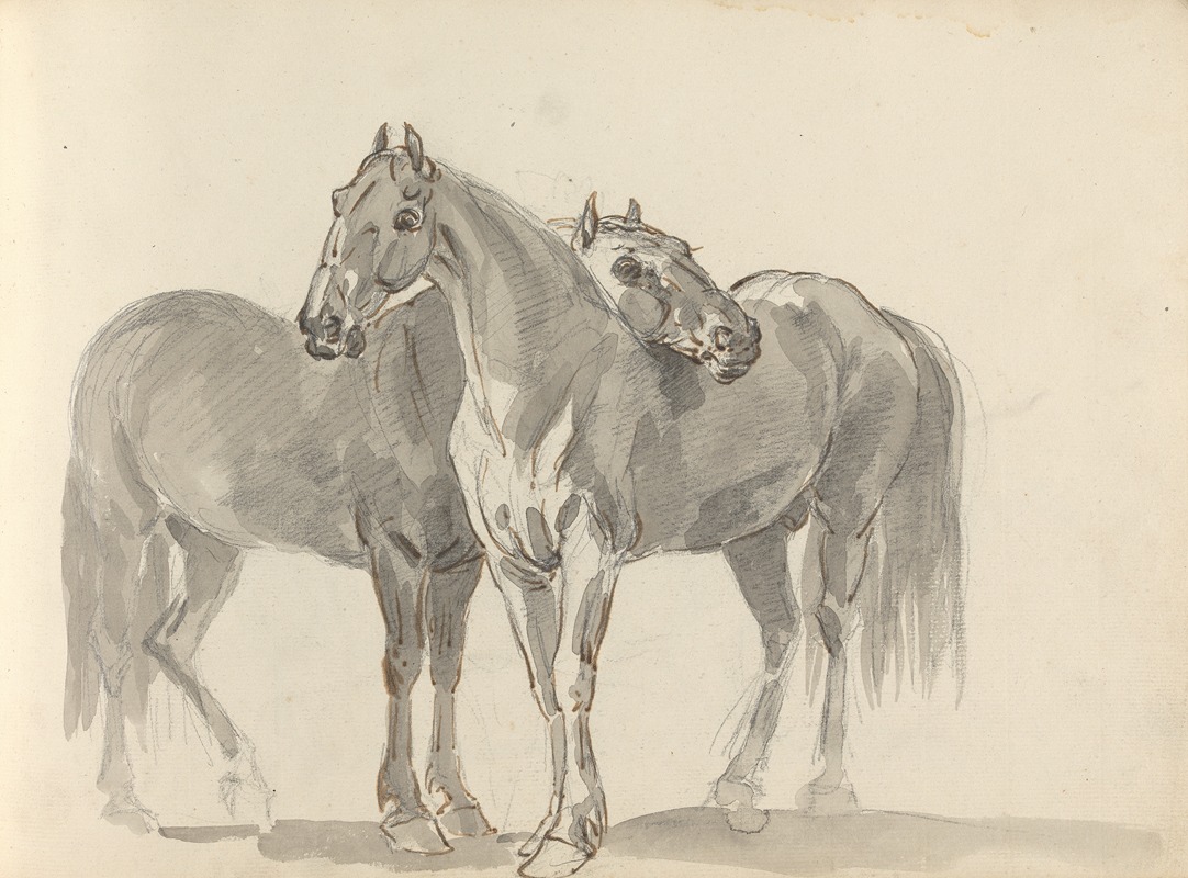 Sawrey Gilpin - Fourty-three Studies of Horses and Riders Pl.28