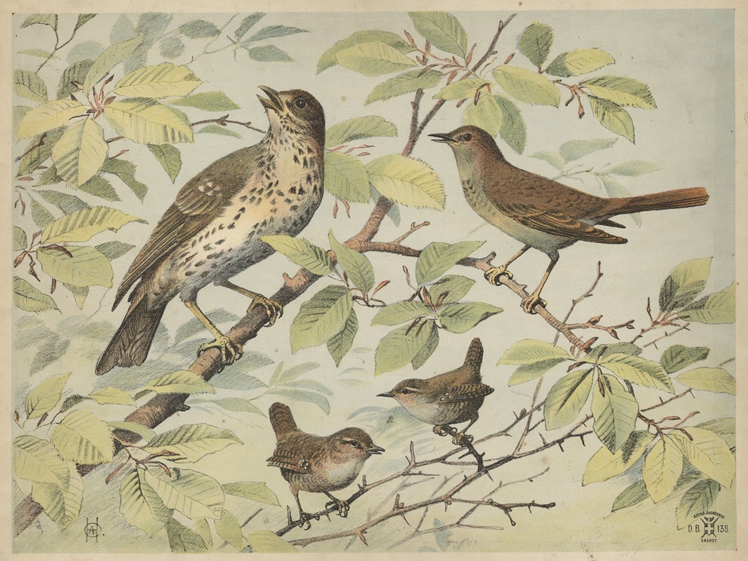 Oluf August Hermansen - Thrush, nightingale and wren