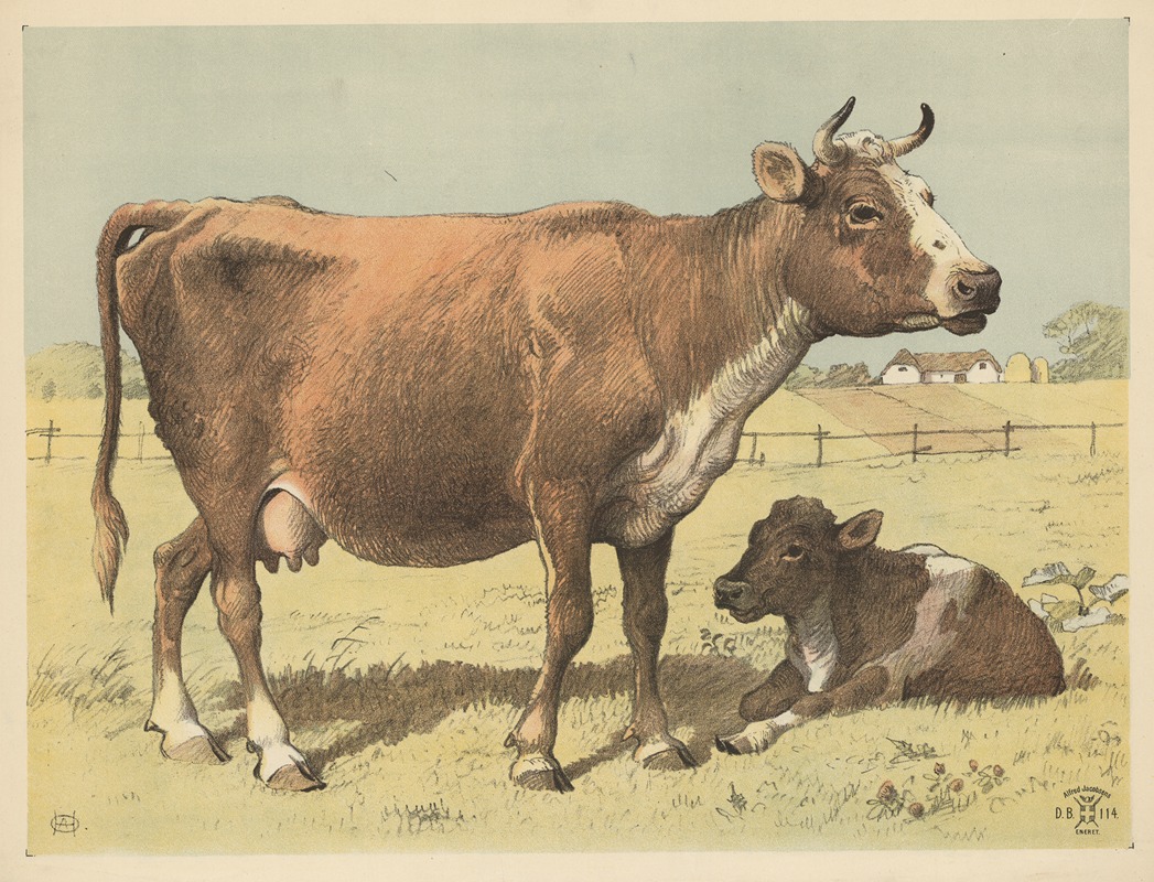 Oluf August Hermansen - Cow