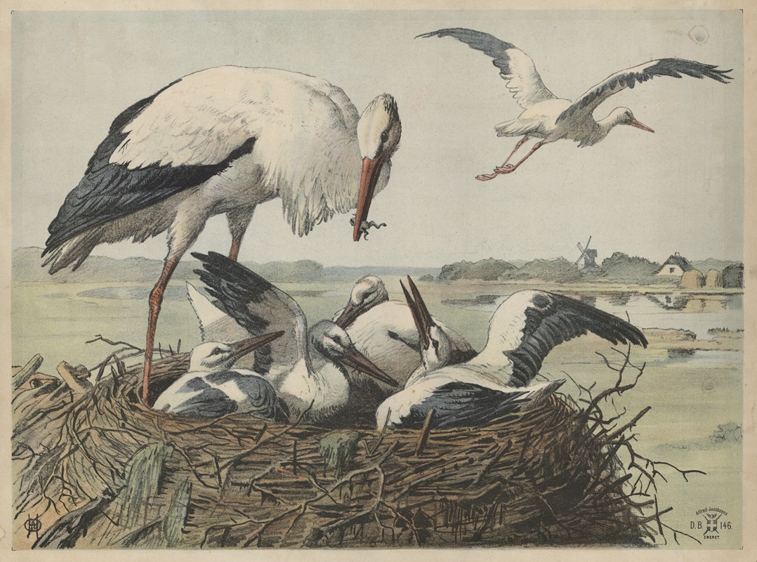 Oluf August Hermansen - Stork