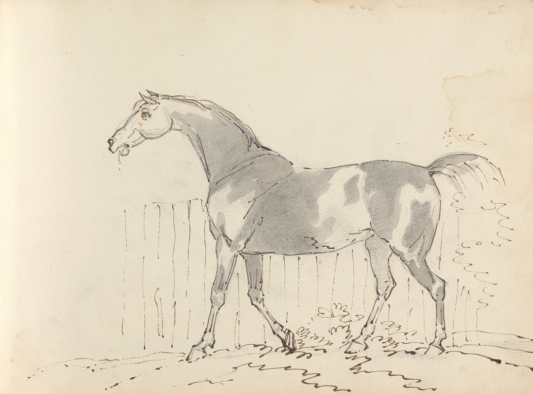 Sawrey Gilpin - Fourty-three Studies of Horses and Riders Pl.33