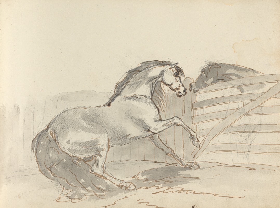 Sawrey Gilpin - Fourty-three Studies of Horses and Riders Pl.36