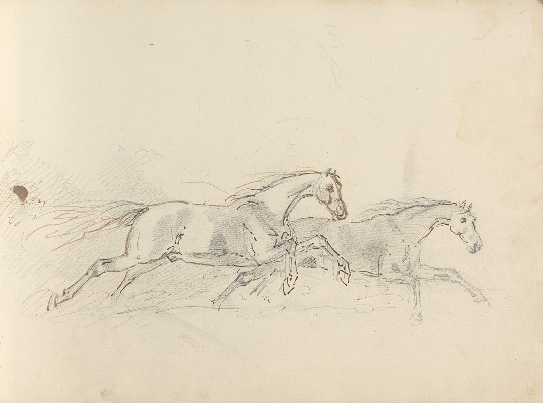 Sawrey Gilpin - Fourty-three Studies of Horses and Riders Pl.37