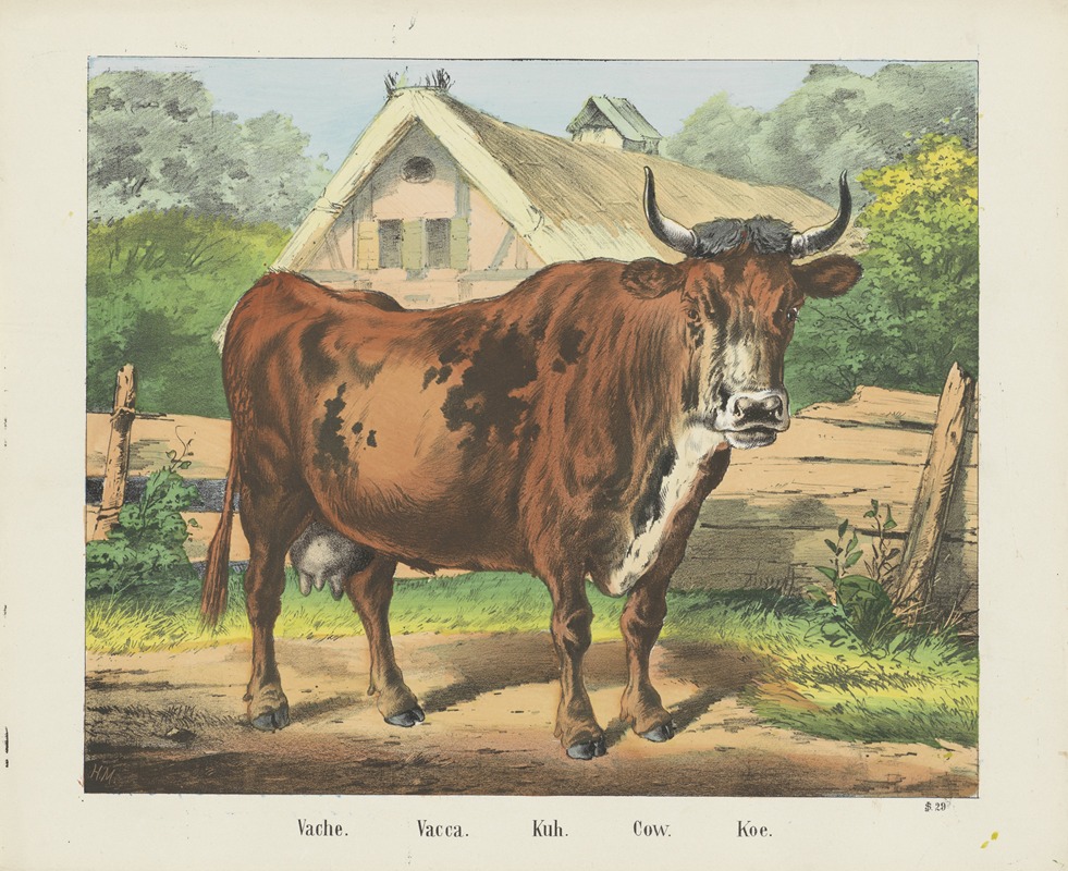 Joseph Scholz - Cow