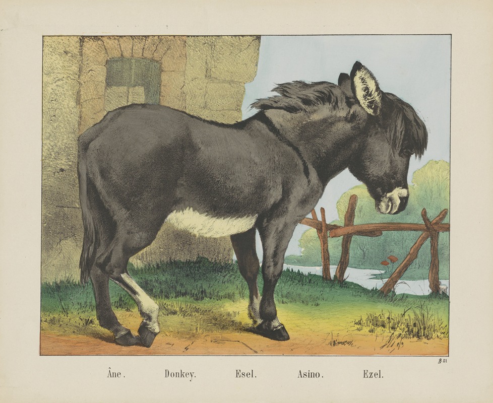 Joseph Scholz - Donkey