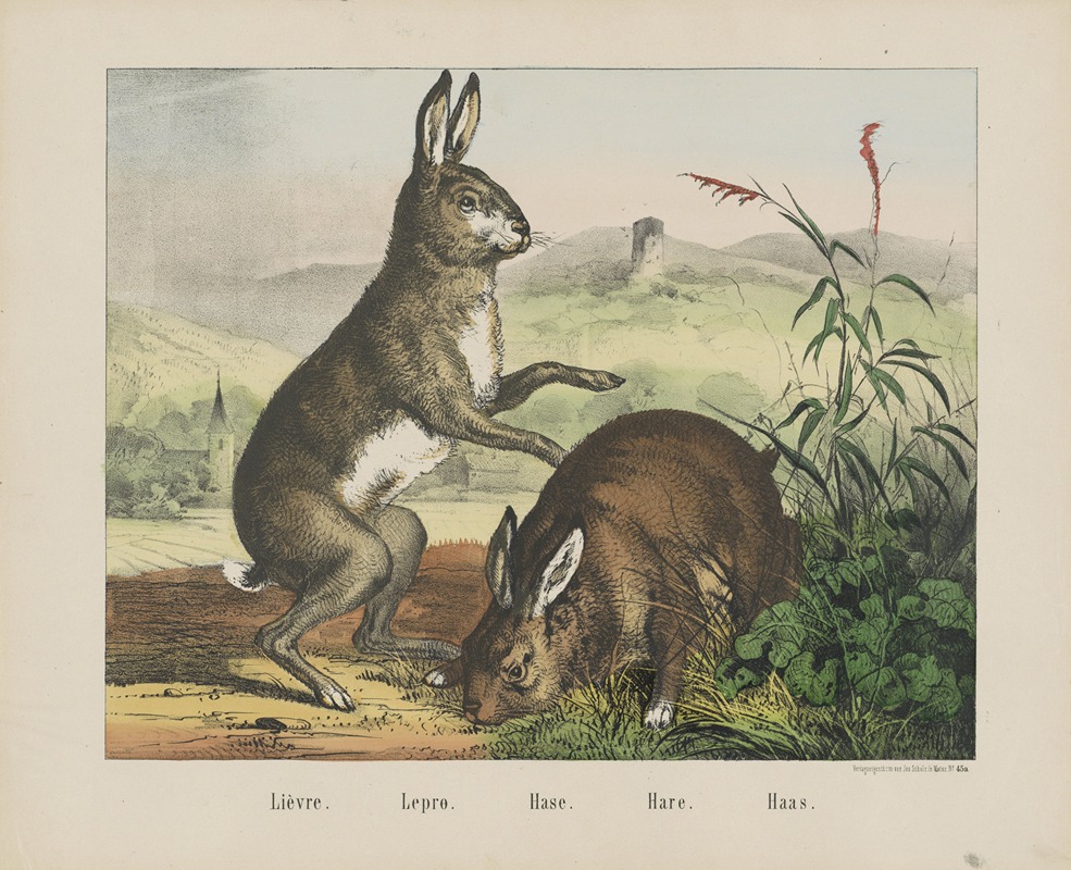 Joseph Scholz - Hare