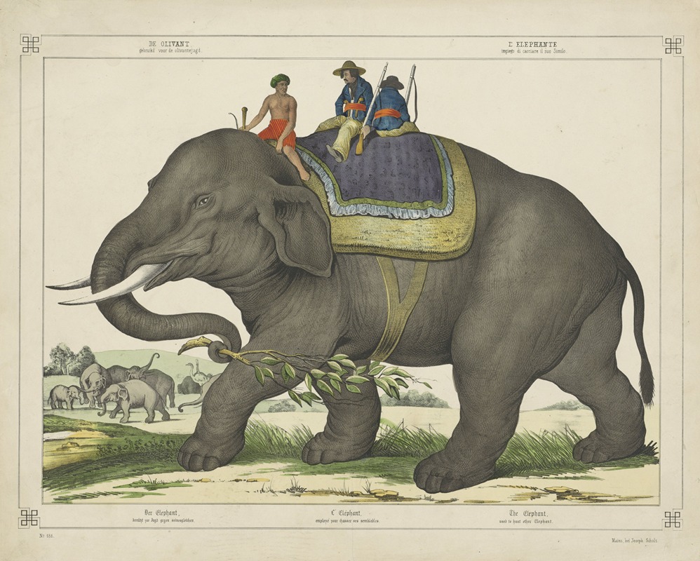 Joseph Scholz - The elephant used to hunt other elephants