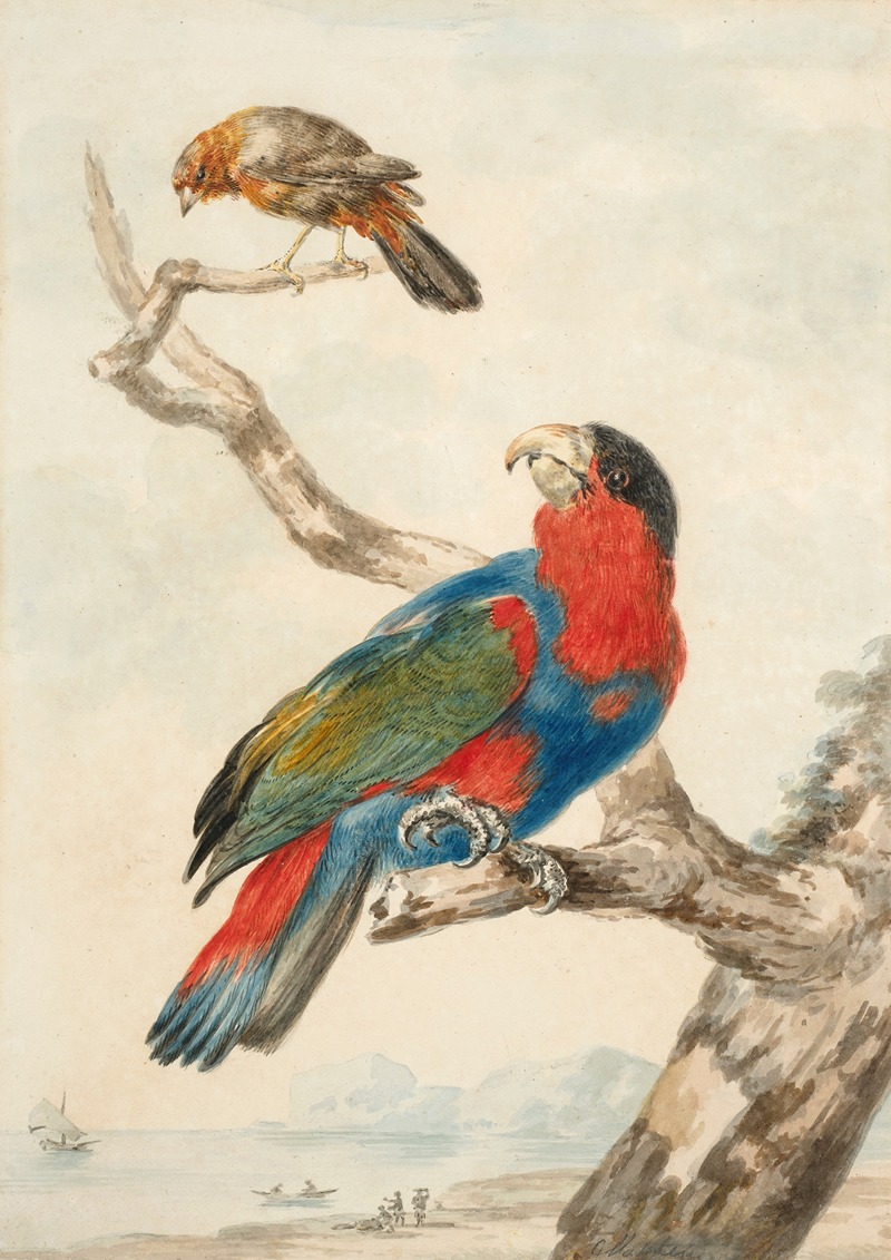 Abraham Meertens - A parrot and another bird on a branch near a littoral