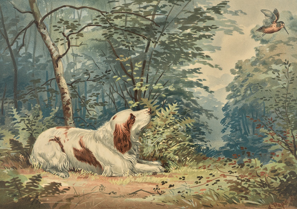 Alexander Pope Jr. - Reclining Spaniel, gazing at hovering hummingbird