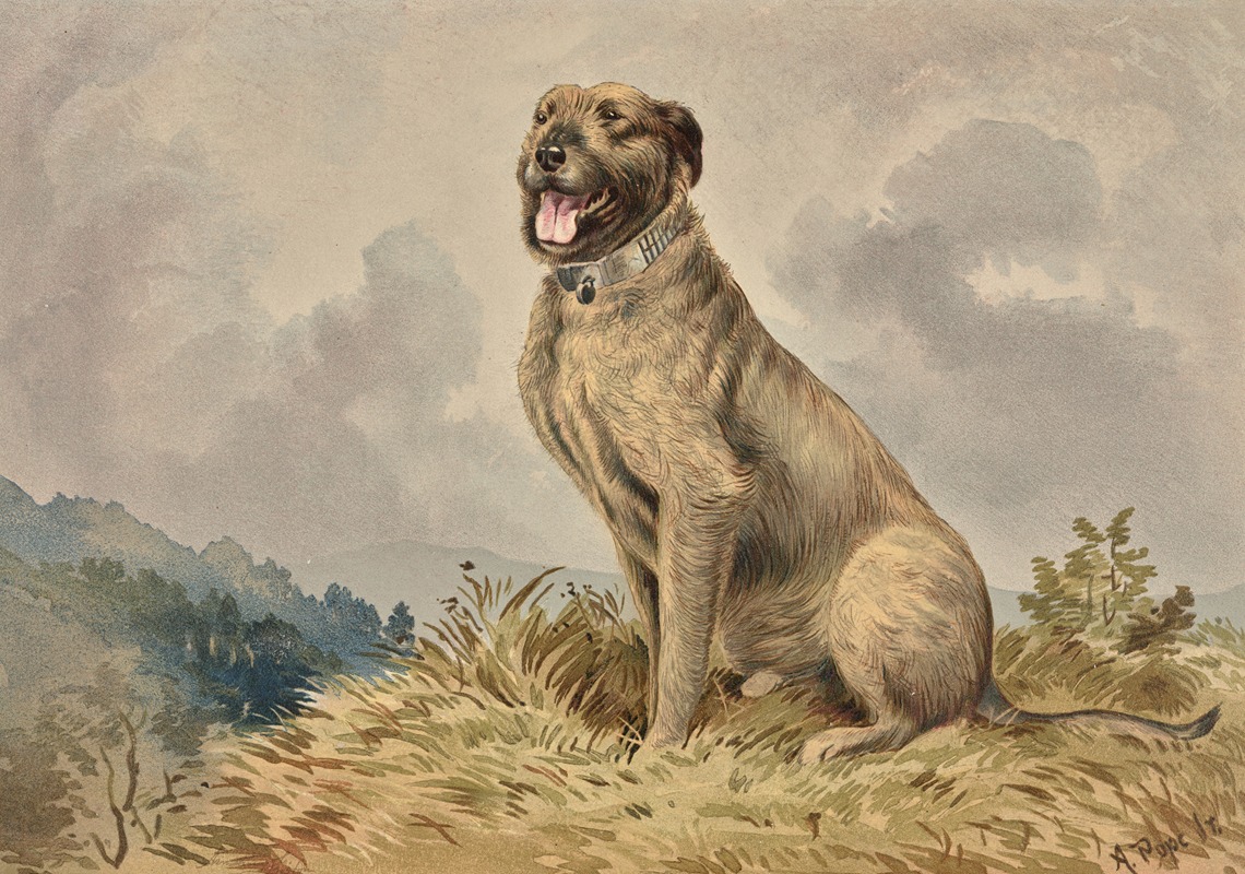 Alexander Pope Jr. - Seated Irish Wolfhound