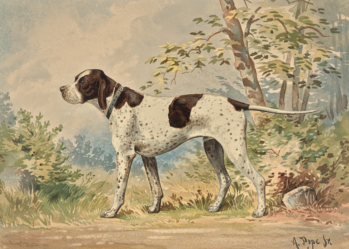 Alexander Pope Jr. - Standing English Pointer, facing left