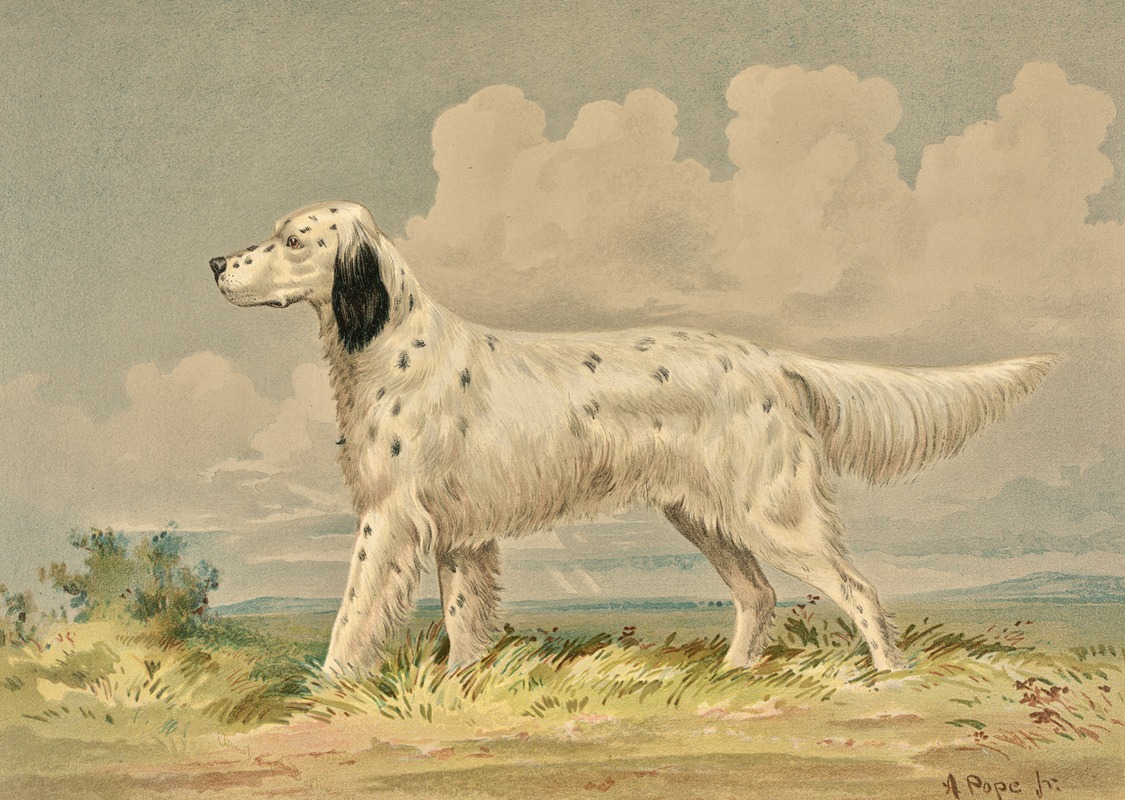 Alexander Pope Jr. - Standing English Setter, facing left