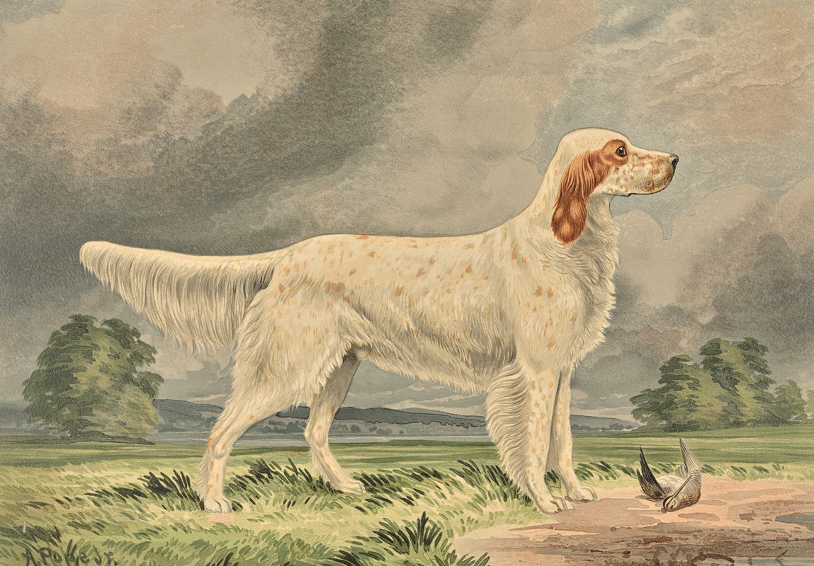 Alexander Pope Jr. - Standing Irish Red and White Setter, facing right, bird at feet