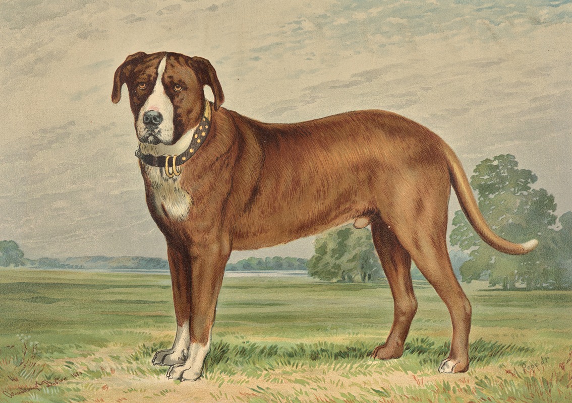 Alexander Pope Jr. - Standing Mountain Dog, facing left