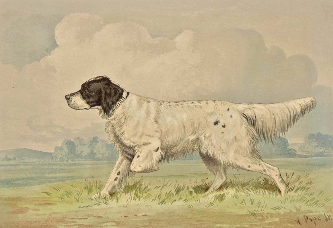 Alexander Pope Jr. - Standing Spotted Retriever, pointing left