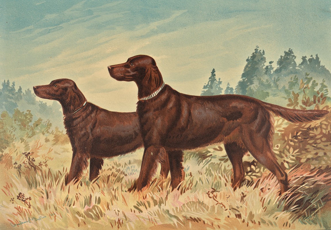 Alexander Pope Jr. - Two standing Flatcoated Retrievers, facing left