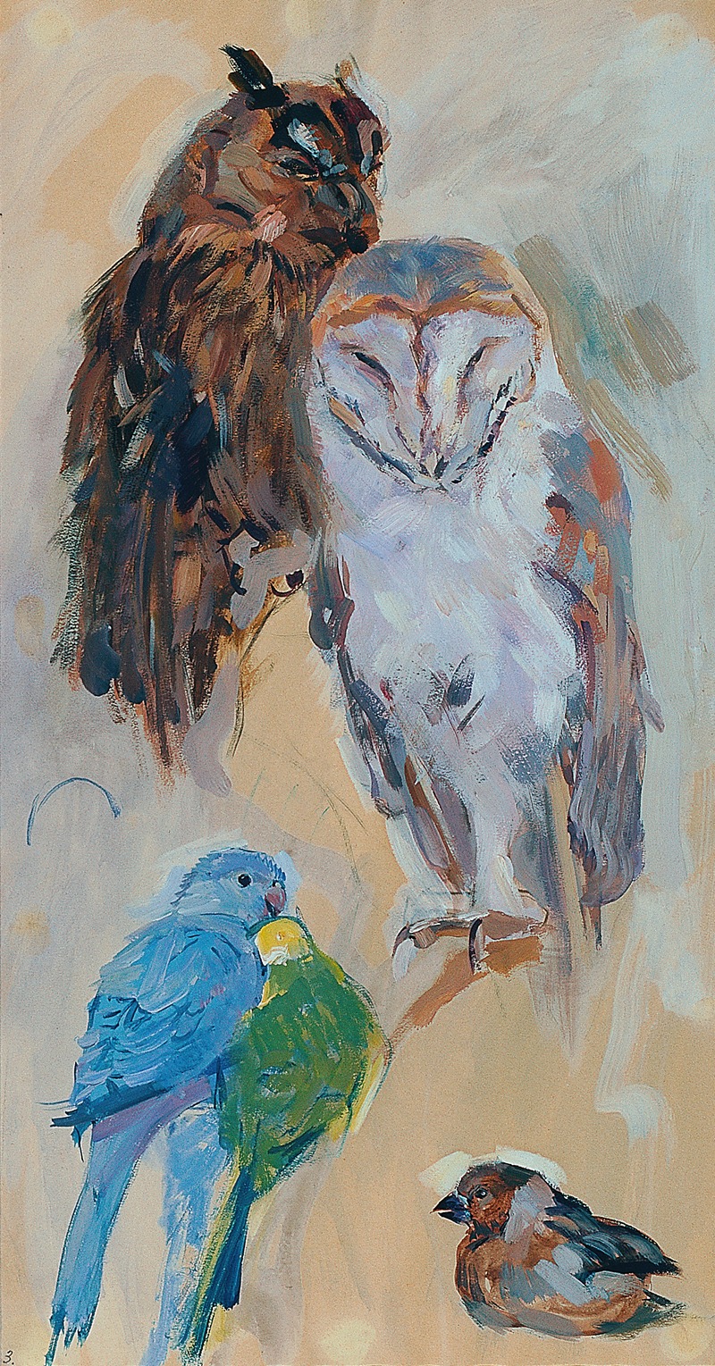 Carl Fahringer - Tierstudie aus Schönbrunn Vögel