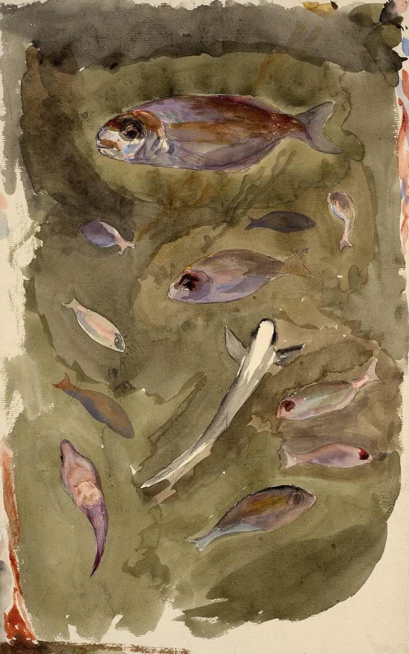 Félix Bracquemond - Fishes