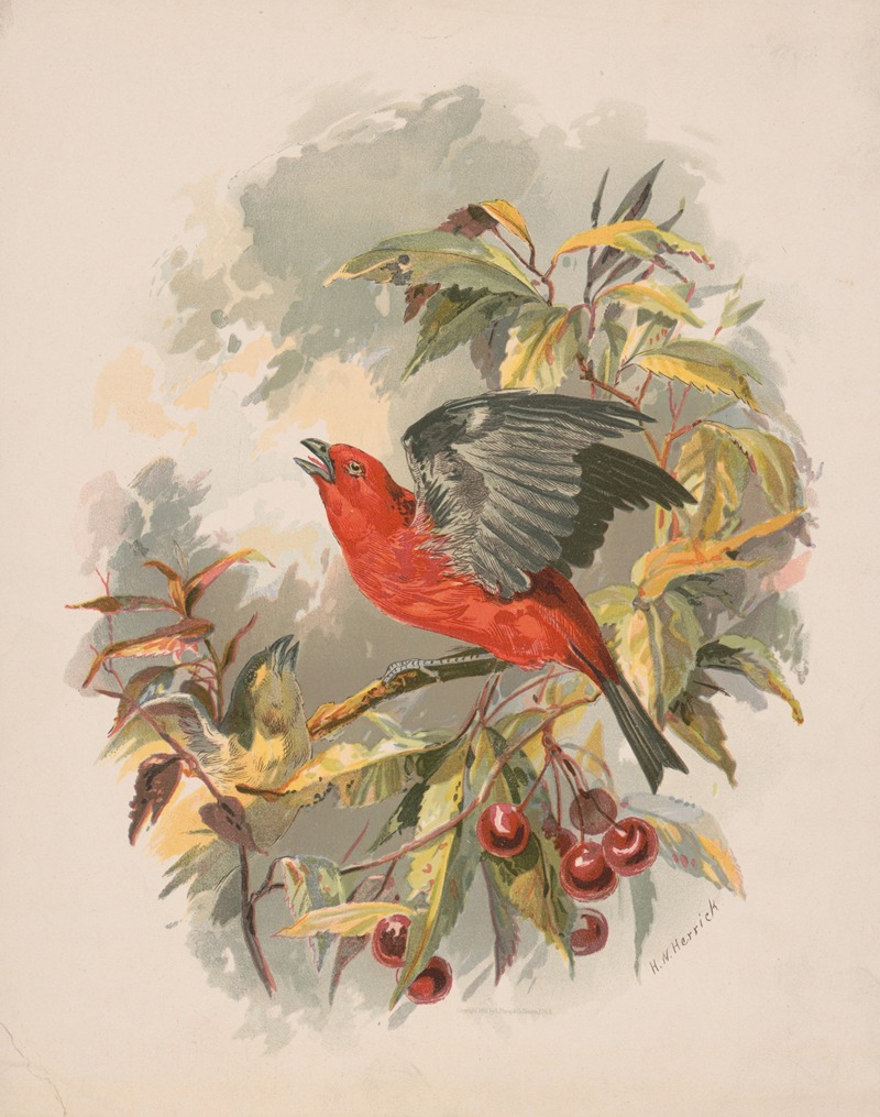 Henry Walker Herrick - Scarlet tanager on a cherry tree branch