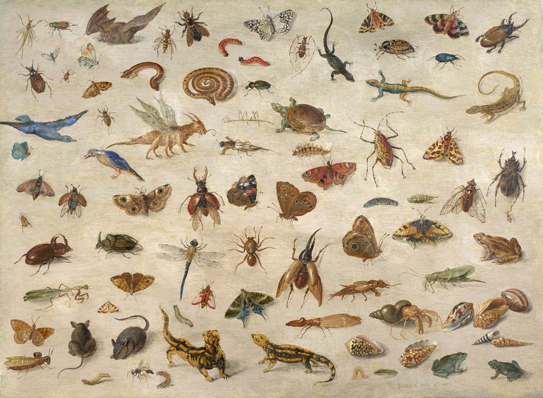 Jan Van Kessel The Elder - Insects, batrachians, shells and mouses