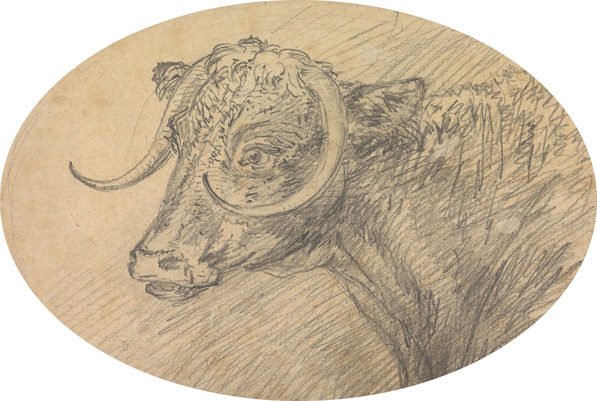 Sawrey Gilpin - Head of a Bull