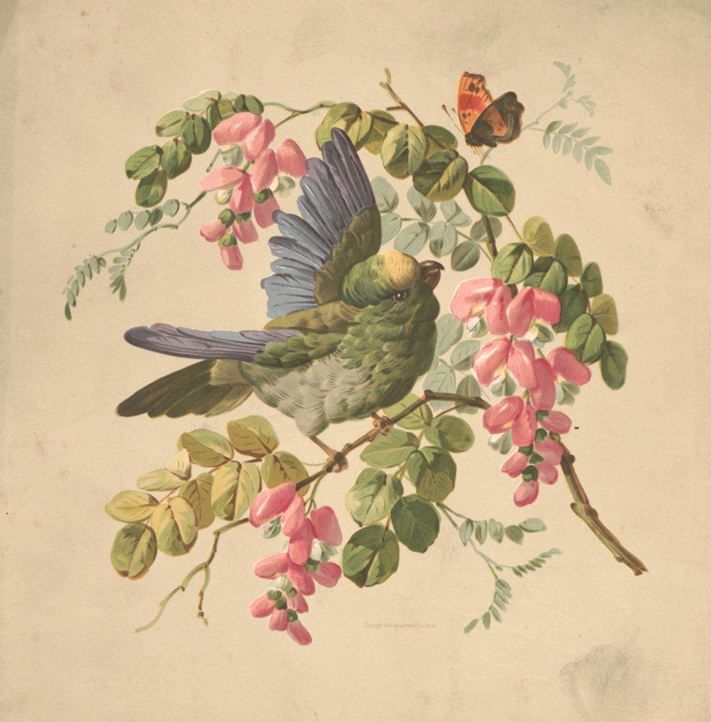 Louis Prang & Co. - Green parrot and acacia