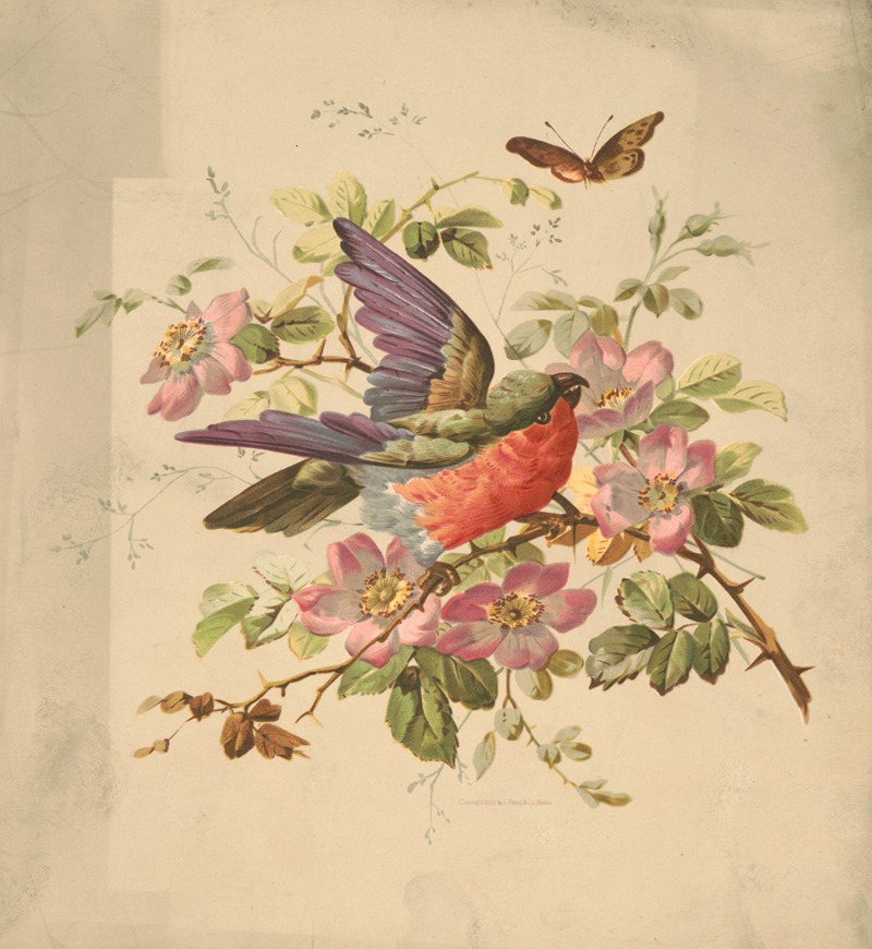 Louis Prang & Co. - Scarlet and green parrot and wild roses