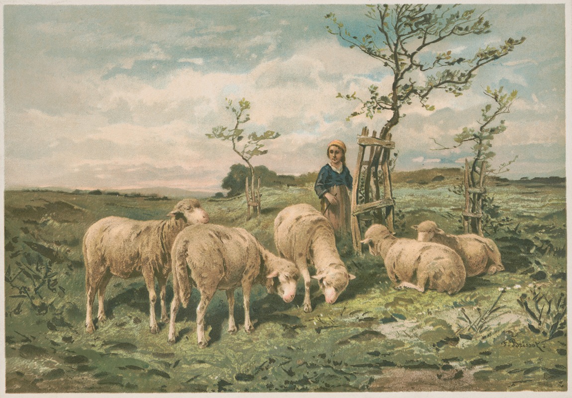 Louis Prang & Co. - Study of sheep ( after F. Brissot)