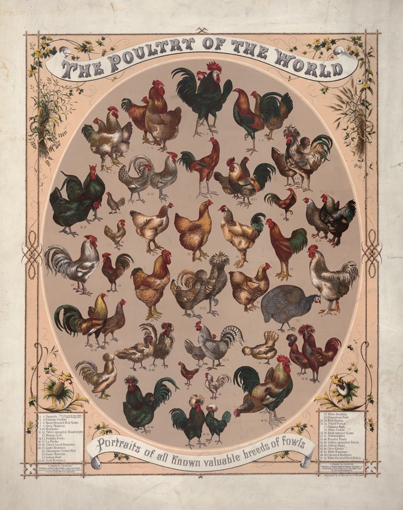 Louis Prang & Co. - The poultry of the world–Portraits of all known valuable breeds of fowls