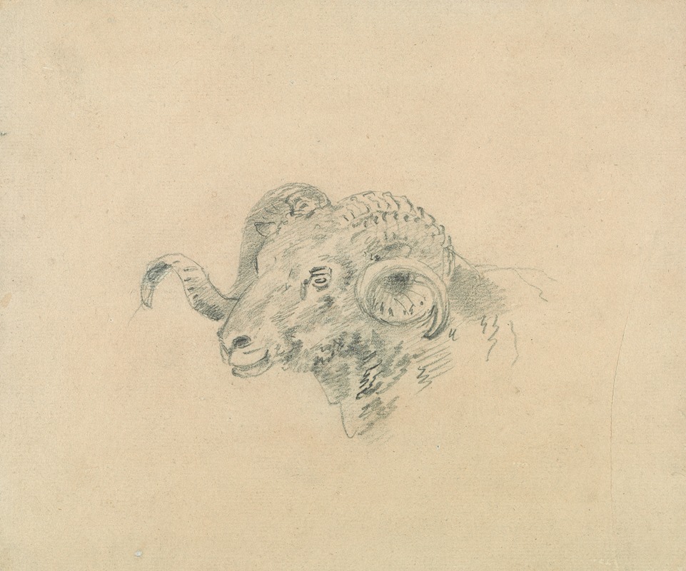 Sawrey Gilpin - Head of a Ram