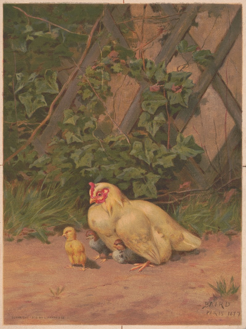 William Baptiste Baird - Chickens