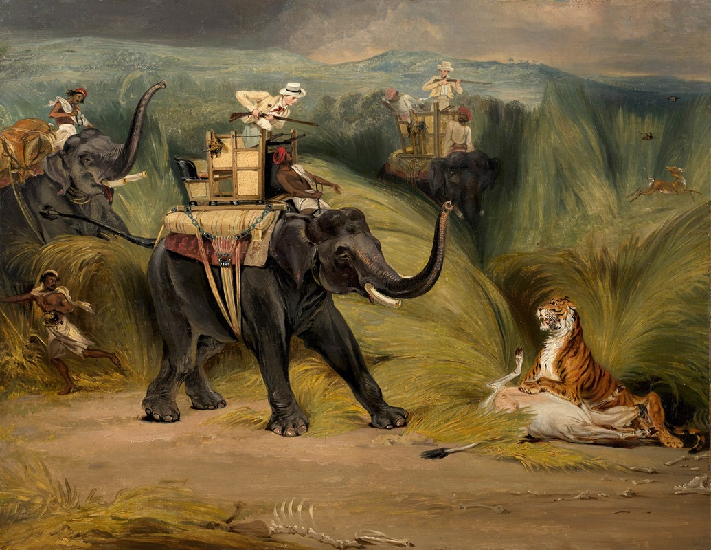 William Henry Florio Hutchinsson - Rencontre fortuite avec un tigre lors d’une chasse à dos d’éléphant en Inde